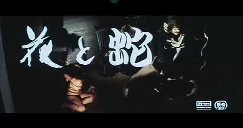 日本BDSM电影 花与蛇1（1974年版）高清 可在线看可下载 中文字幕 百度网盘资源